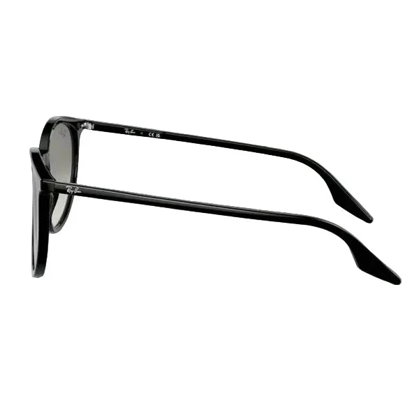 Ray-Ban Ochelari de Soare RB2204 901/32